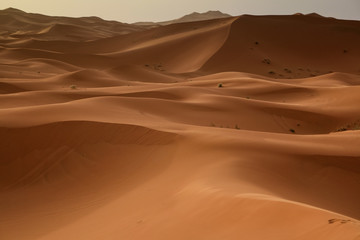  Sahara desert
