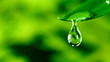 Leinwandbild Motiv fresh green leaf with water drop, relaxation nature concept