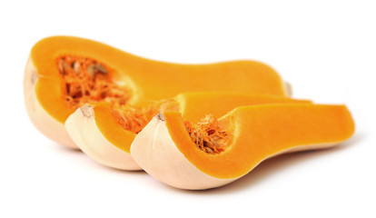 Canvas Print -  butternut squash