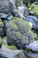 Poster - broccoli