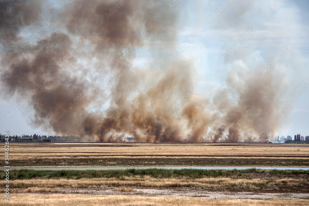 Strong prairie fire with large clouds of choking smoke erupted in ...