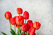 red tulips against a gray wall
