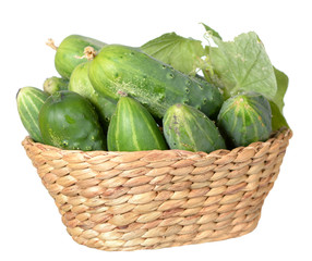 Wall Mural -  cucumbers