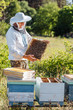 Apiculture, beekeeping concept. Beekeeper man in professional beekeeper costume inspects wooden honeycomb frame. Collecting honey on sunny summer day.