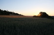 © Denis - Landschaft