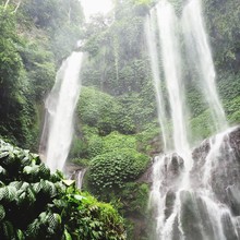 Low Angle View Of Waterfall In Rainforest