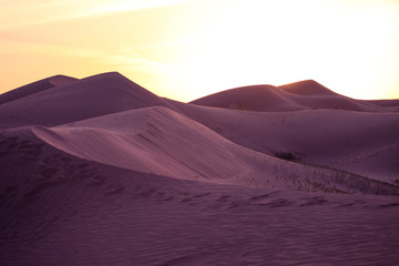 Wall Mural - Desert Dunes