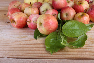 Apples on table