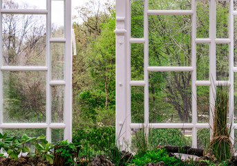  Open greenhouse window