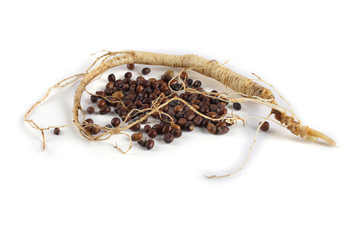 Canvas Print - Ginseng isolated on white background