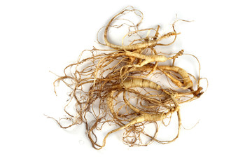 Poster - Ginseng isolated on white background