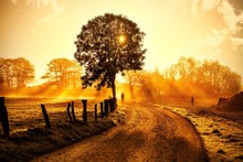 Country Road At Sunrise