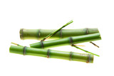 Fototapeta Sypialnia - Branches of bamboo isolated on white background