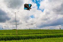 Windsocks And Kite On Grassy Field Against Cloudy Sky