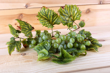 Wall Mural - Wine grape on table