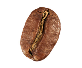 macro shot of a coffee bean isolated on white