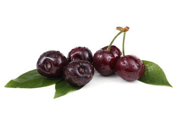 Poster - Cherry isolated on white background