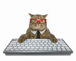 © iridi66 - The beige cat employee dressed in a black tie and glasses is typing on a keyboard of a desktop computer. White background. Isolated.