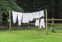 Clothes Drying Over Field Against Trees
