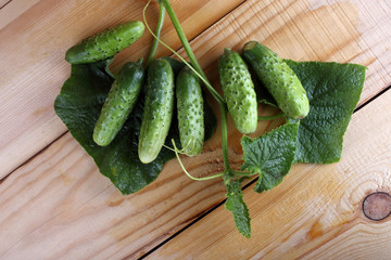 Cucumbers on table