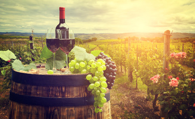 Wall Mural - Red wine with barrel on vineyard in green Tuscany, Italy