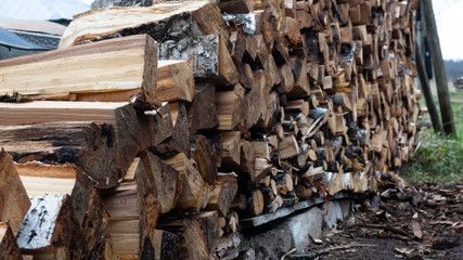 Wall Mural - split birch logs. fresh wood on the green grass