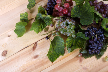 Sticker - Different color grape on leaves