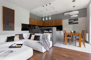 Wall Mural - Modern open plan apartment