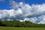 Fototapeta Na sufit - Un prato e un bosco in una giornata di sole e nuvole