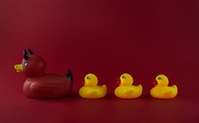Duck Bath Toys Isolated On A Red Background