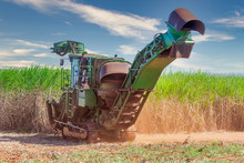  Machine Harvesting Sugar Cane Plantation
