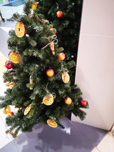 Christmas Tree Decorated With Dried Oranges, Cinnamon, Gingerbread And Apples.