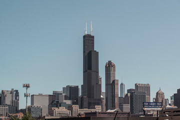 Wall Mural - skyline view of chicago skyscrapers
