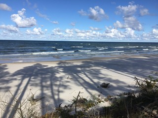 Wall Mural - beach in the morning