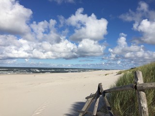 Wall Mural - wooden fence on the beach