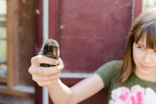 Stock Photo Of Teen Girl Holding A Baby Chick