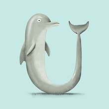 Dolphin - U