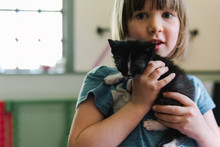 Stock Photo Of Adorable Little Girl Holding A Kitten In Her Hands