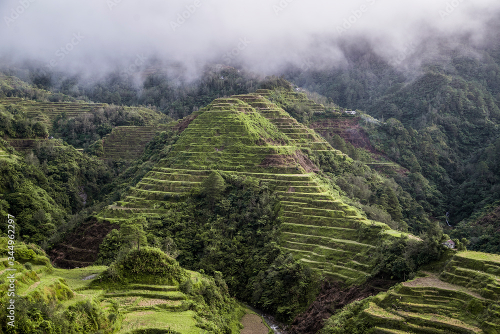green rice terraces in the philippines Stock Photo | Adobe Stock