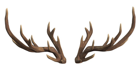 deer antlers isolated on white 3d rendering