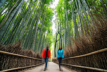 Couple Hiking In Green Bamboo Forest