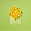 © Yaroslav Danylchenko/Stocksy - Envelope with daffodils flowers on a pastel background.