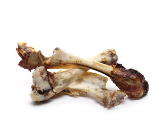 Wall Mural - Roasted young lamb leg bone, food waste isolated on white background