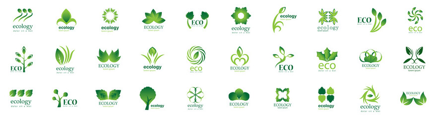 Wall Mural - Collection Of Eco And Organic Logo Set - Isolated On White Background - Vector. Eco And Organic Logo Useful For Leaf Icon, Ecology Logo, Eco Symbol And Template Design. Ecology Tree Icons