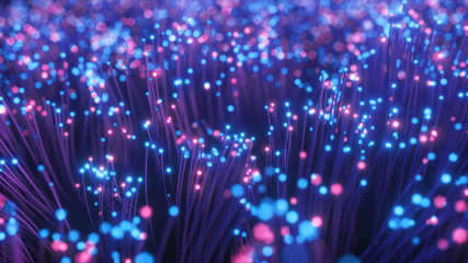 Wall Mural - Fiber optic wires with flashing signals. Digital data transmission via fiber optic cable. Bouquet of colored optical fibers with bokeh. Technology concept. 3d illustration