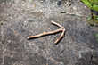 wooden stick arrow at forest mossy rock. Nature wayfinding concept woodlands play background