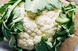 © PicsArt - Chou-fleur entier fraichement ramassé au jardin potager