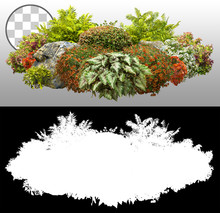 Garden Design. Flower Bed Isolated On Transparent Background Via An Alpha Channel. Flowering Shrub And Green Plants For Landscaping. Decorative Shrub And Boxwood Hedge. High Quality Clipping Mask