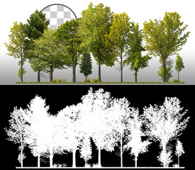 Wall Mural - cutout tree line. forest and green foliage in summer. row of trees and shrubs isolated on transparen