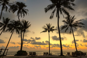 Sticker - Silhouette landscape of the evening scenery of coconut trees by the beach, Ko Kood, Thailand in a romantic and healthy atmosphere, golden and orange.